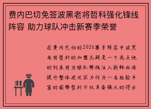 费内巴切免签波黑老将哲科强化锋线阵容 助力球队冲击新赛季荣誉